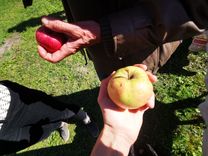 One hand holds a large apple in the sun, another person with a red bag can be seen in the background.