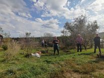 A workshop csoport a Humus Kertben áll, bokrok és fák veszik körül őket egy felhős ég alatt. A háttérben kerítések és további növényzet látható.