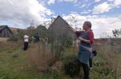 The participants are applying what they have learned and eagerly picking plants together in the garden.