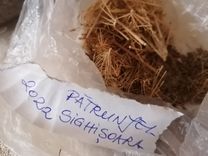 A bag of dried plant material. On it lies a note with the handwritten inscription: "PATRUNJEL 2022 SIGHIȘOARA."