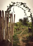 Wooden lattice gate with a plant arch above leading to a garden path.