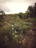 Lush garden with various plants and a central path leading through the grounds.